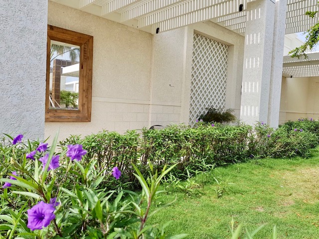 Lush green outside the Grand Ballroom.